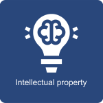 19.Intelctuall Property